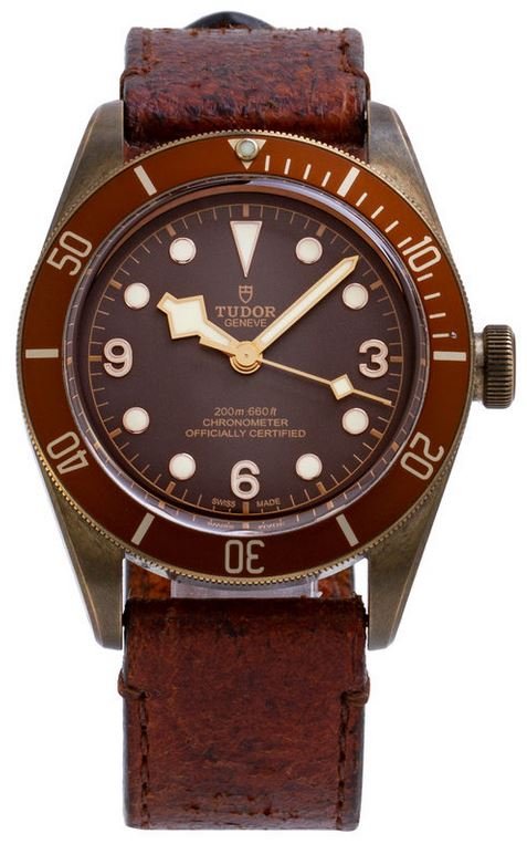 the Tudor Black Bay Heritage watch with a brown dial with a bronze bezel and a dark brown leather strap