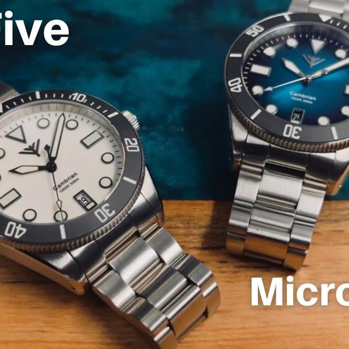 Affordable micro brand outlet watches