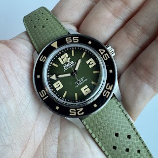 1755286040 574 Green Turtle My Favorite Take on the ESKA AMPhibian 250