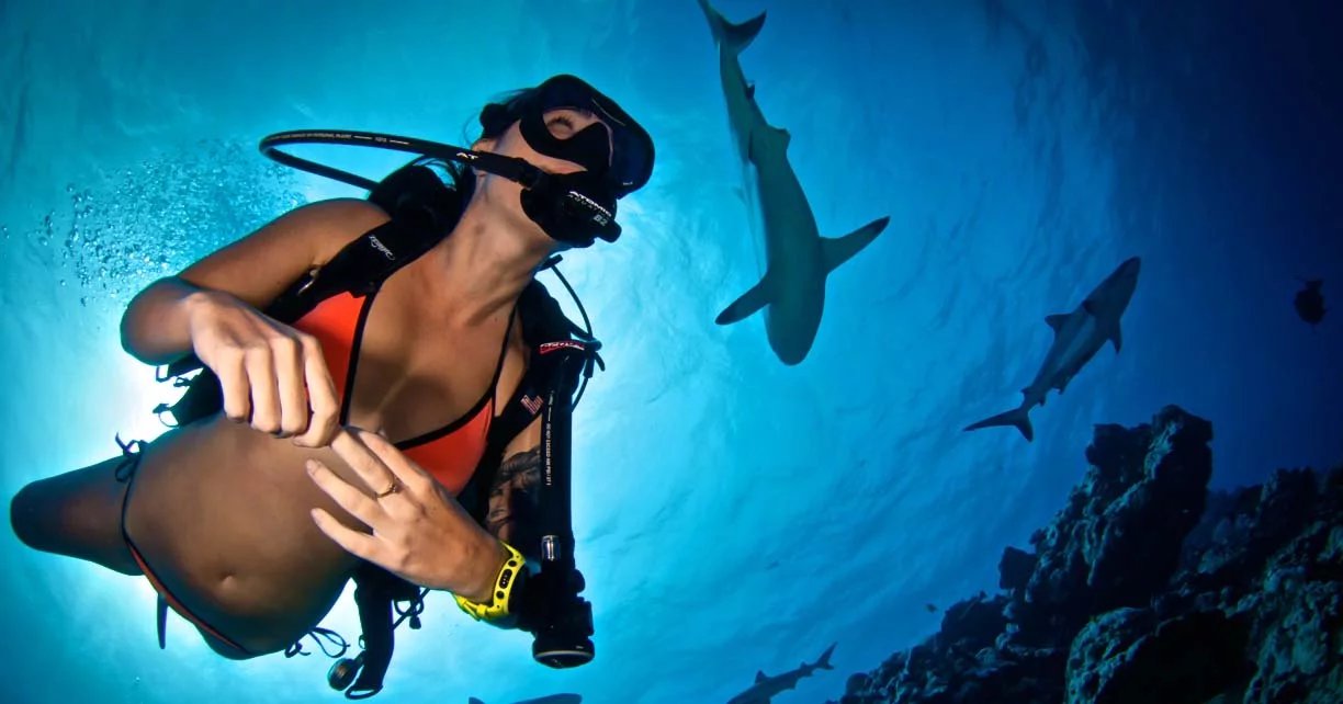 How Diving Shaped the Development of Modern Dive Watches