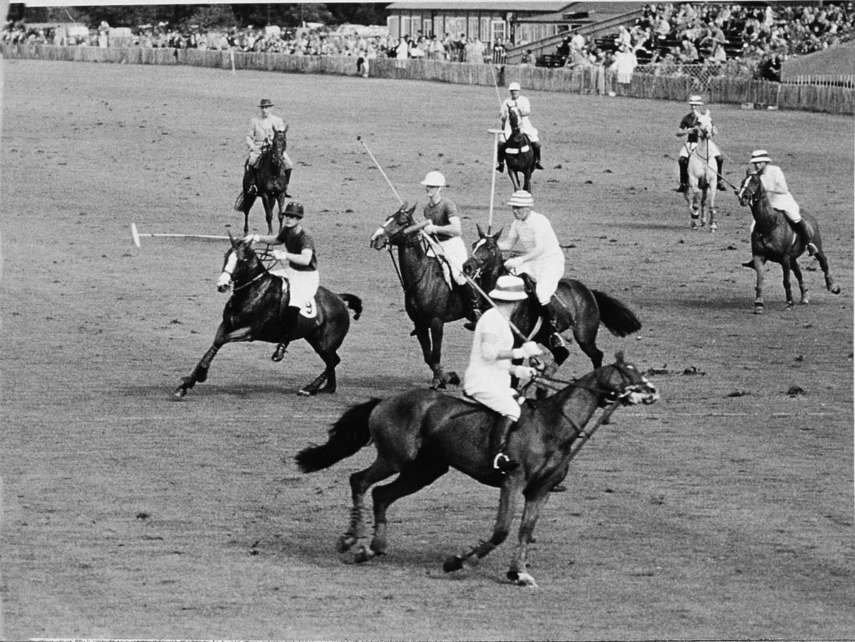 polo players india Reverso
