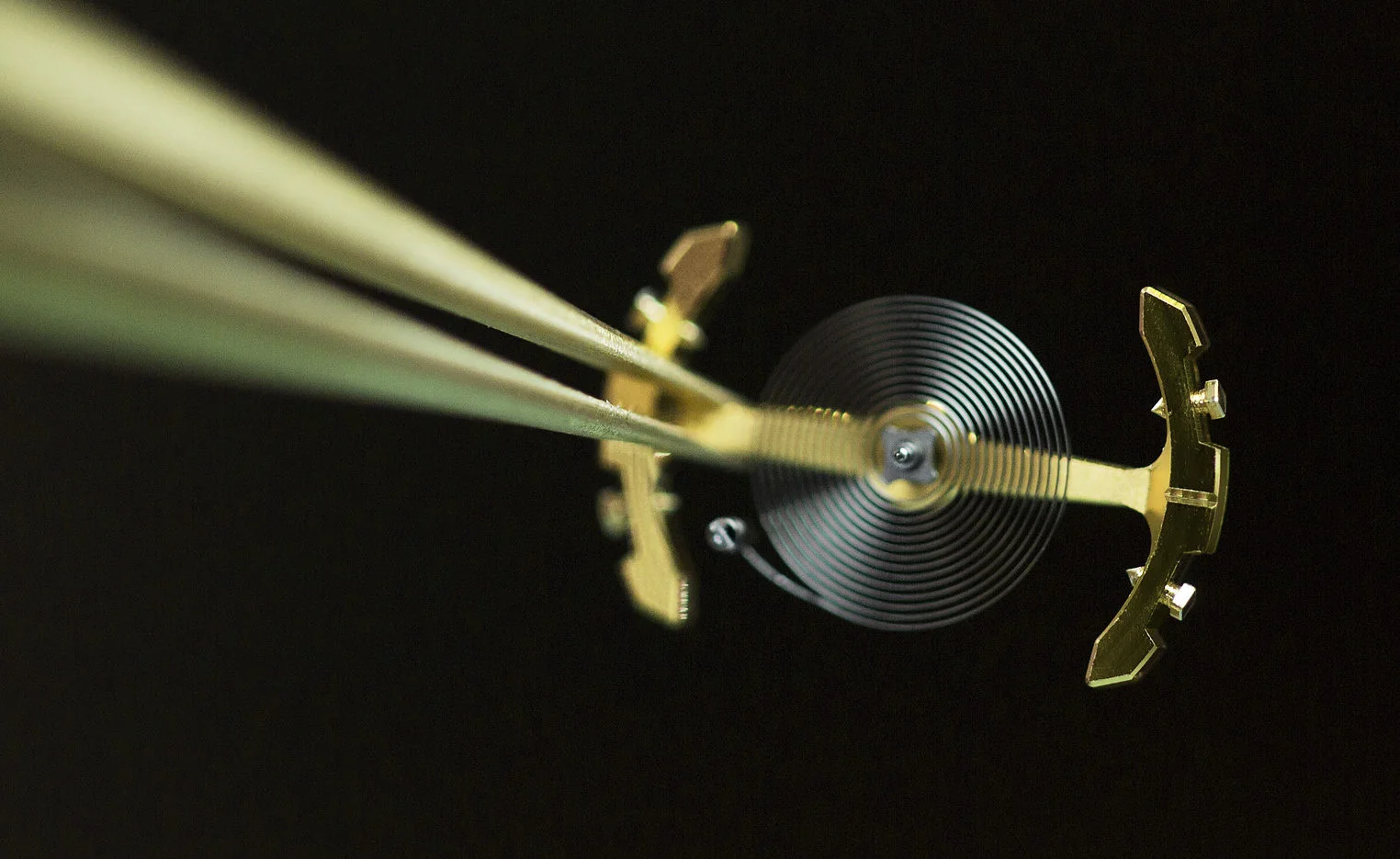 Characteristics of variable inertia balance watch