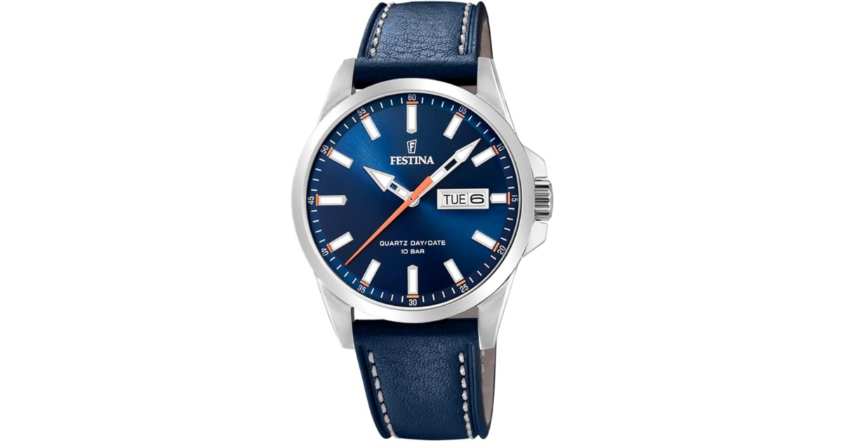 Review of the Festina Classics F20358 Watch